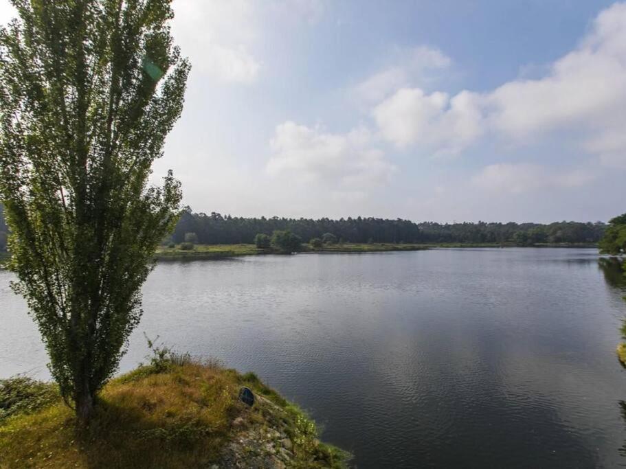 Quinta Da Barca House - Nada Melhor Que Juntar Luxo A Lazer Com Mar E Rio! Esposende Exteriör bild
